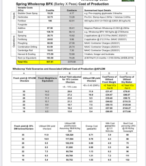 BPX Spring Barley Wholecrop Costs 2021 v2