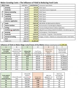 FO Maize Costs 2022