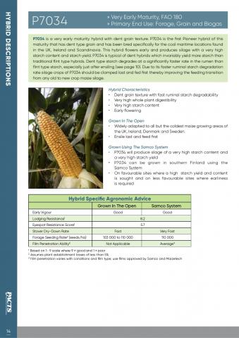 P7034 Maize Info 2019