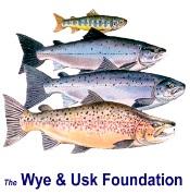Wye & Usk Foundation