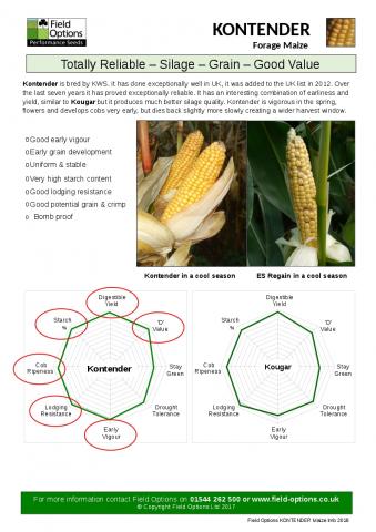 KONTENDER Maize info