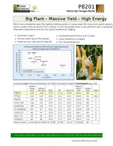 P8201 Maize Info 2021