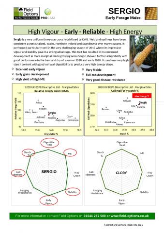 SERGIO Maize Info 2021