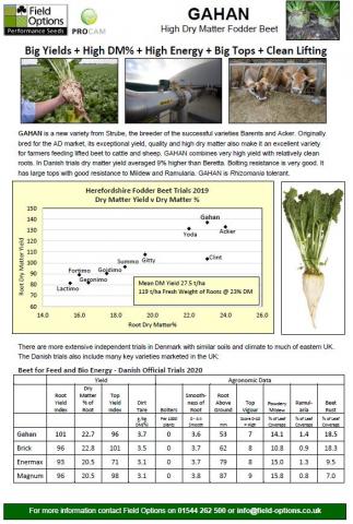 Gahan Beet Info 2021-Image