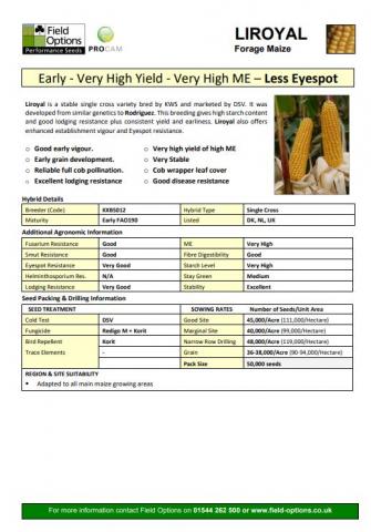 Liroyal Maize Information Image