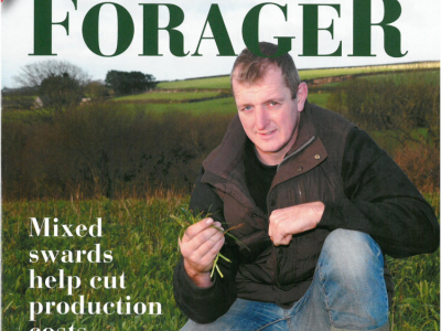 Phil Kent Forager Magazine Cover Sheep Farming