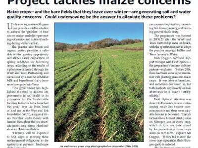 Project tackles maize concerns