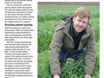 Options to fill forage gaps - Farmers Guardian