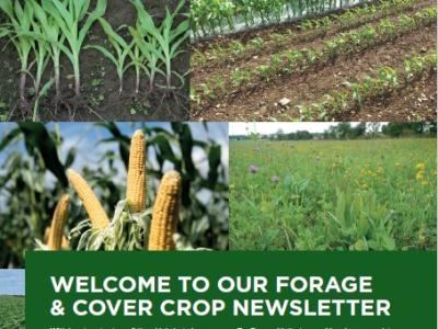 In Field Focus Newsletter February 2023