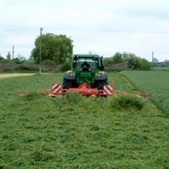 Tomahawk Grass Mixture