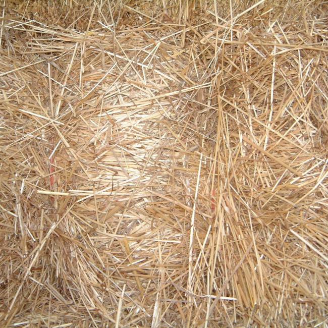 Derby Haylage Cutting Mixture