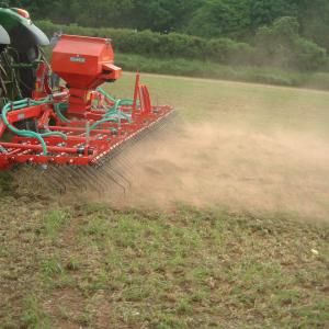 Overseeding