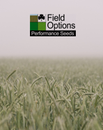 Fodder Beet Growers Guidelines 2023 - Growers Guideline'